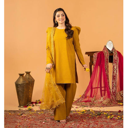 SHAFNUFAB Women's Georgette Ethnic Wear for WomenSemi StitchedSalwarSuit  SF251210