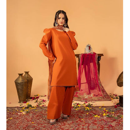 SHAFNUFAB Women's Georgette Ethnic Wear for WomenSemi StitchedSalwarSuit  SF251211